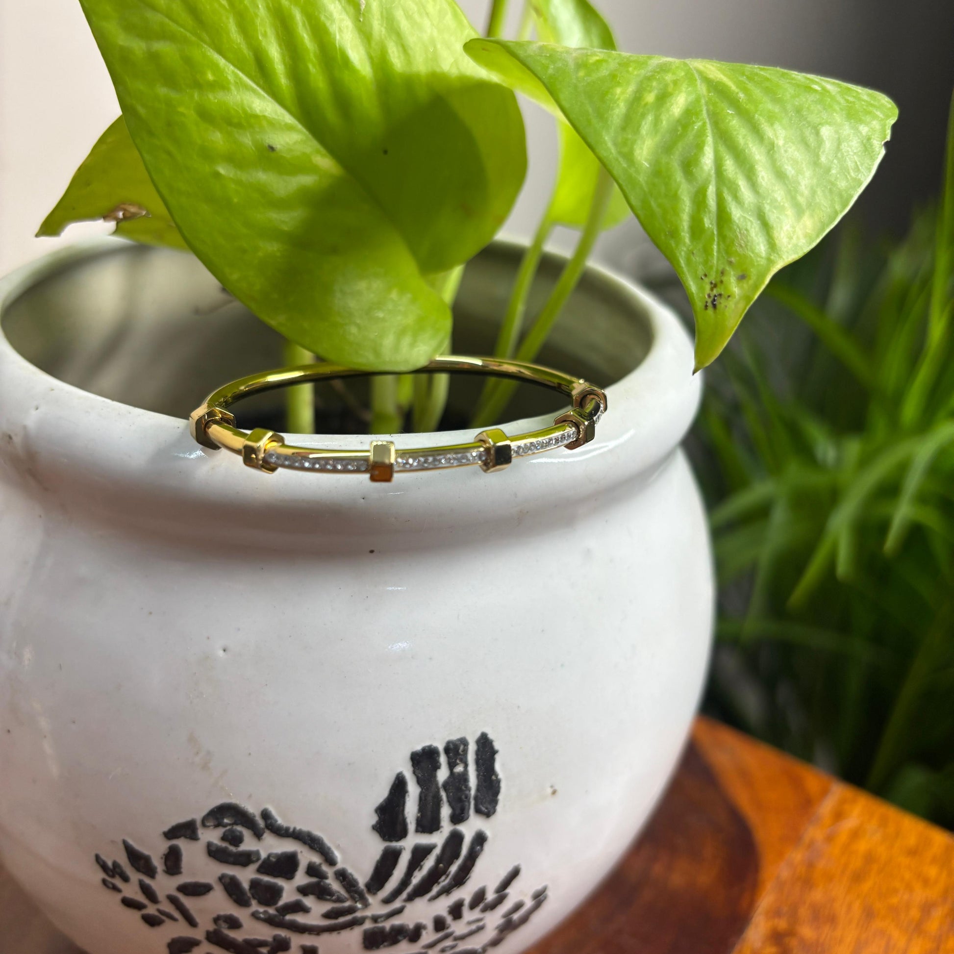 White pot with a plant and a gold ring on a wooden surface